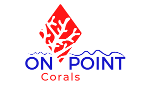 On Point Corals LLC